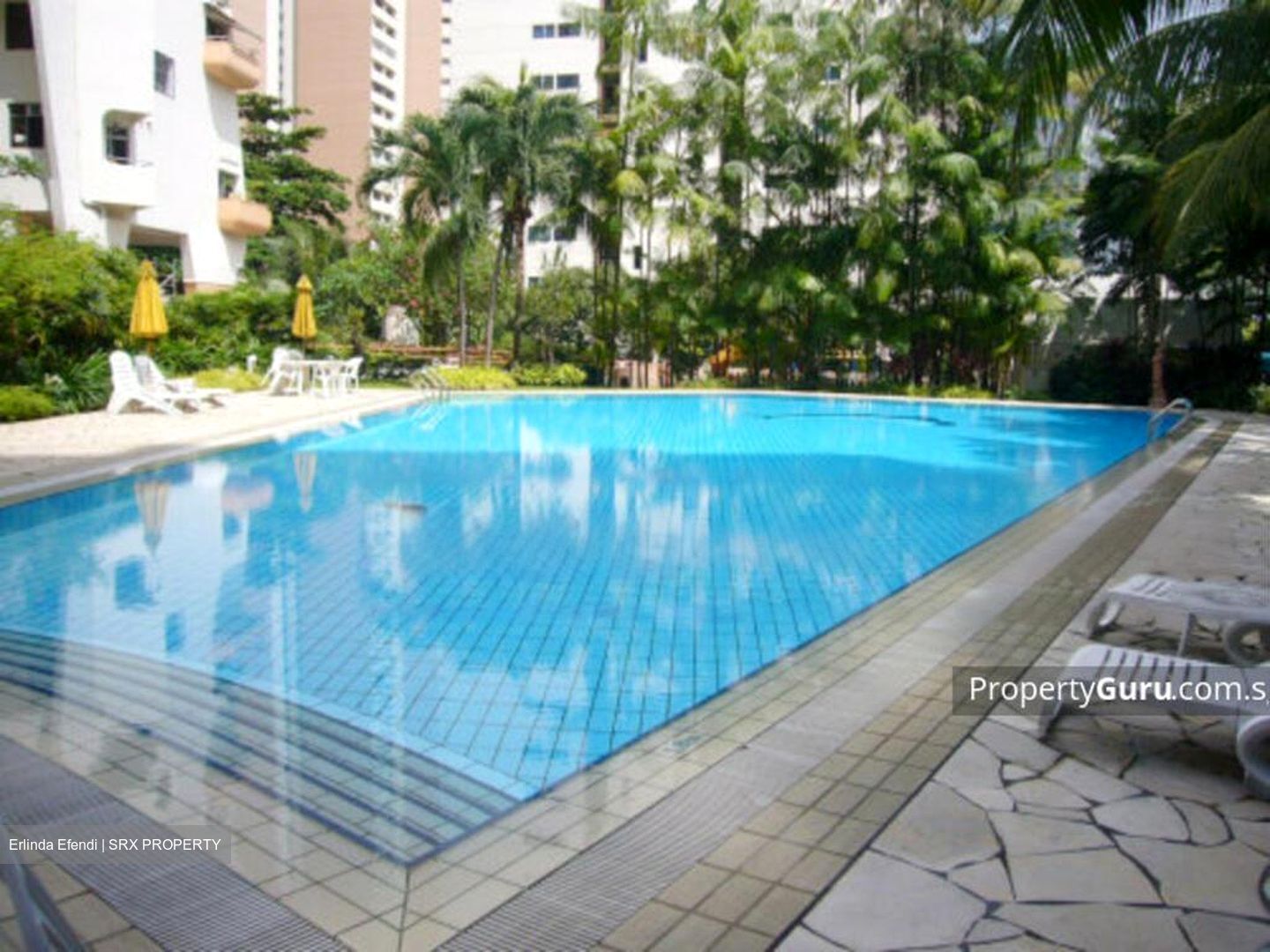 Elizabeth Heights (D9), Condominium #466610241